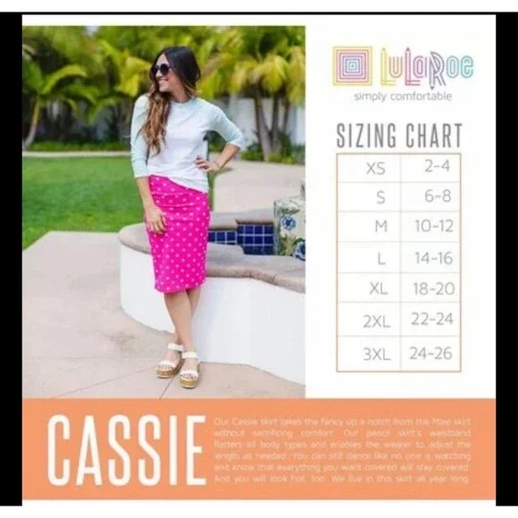 Lularoe Cassie Skirt Women's M Black  Fitted  Pull On Stretch NWT - Picture 3 of 9